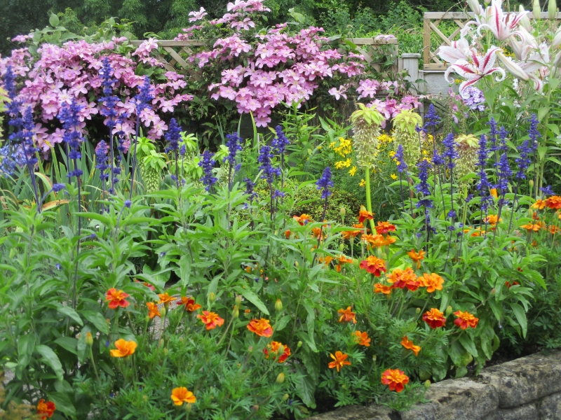 Bovey Tracey Gardens